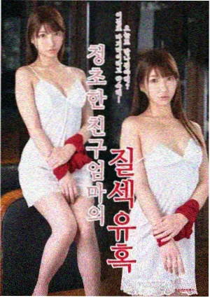 与凤行 电视剧免费看